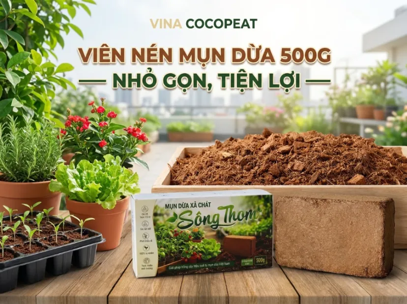 Viên nén mụn dừa xả chát Sông Thom 500g nhỏ gọn tiện lợi cho trồng cây tại nhà