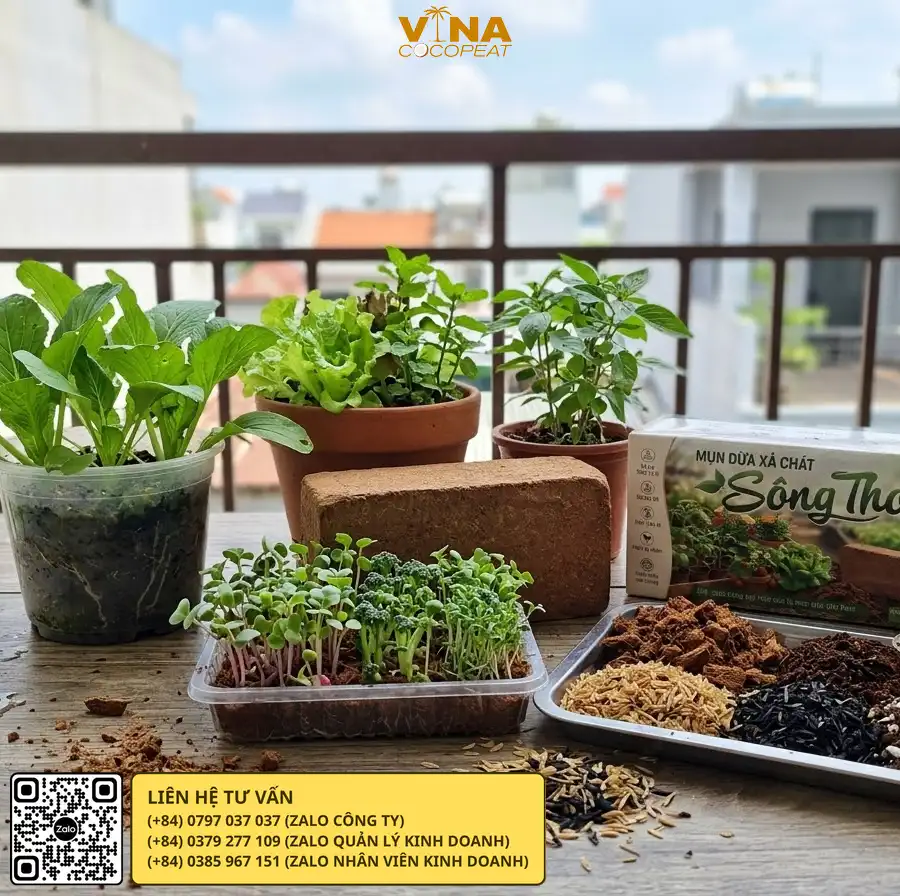 Công thức phối trộn mụn dừa Sông Thom với phân trùn quế trấu hun và Perlite