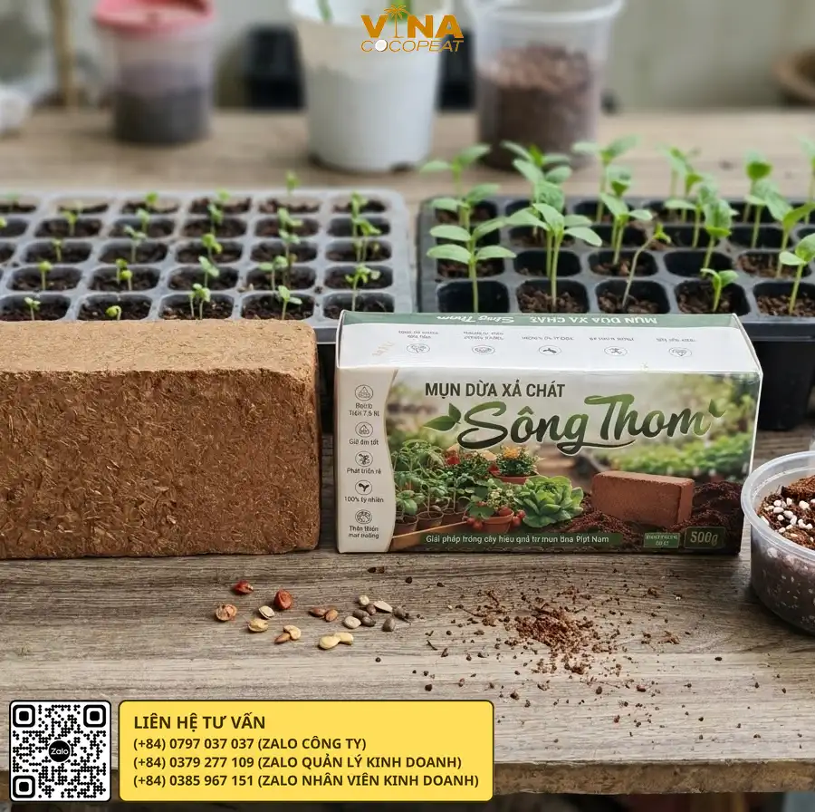 Viên nén mụn dừa Sông Thom 500g bung thành hơn 7,5 lít giá thể tơi xốp