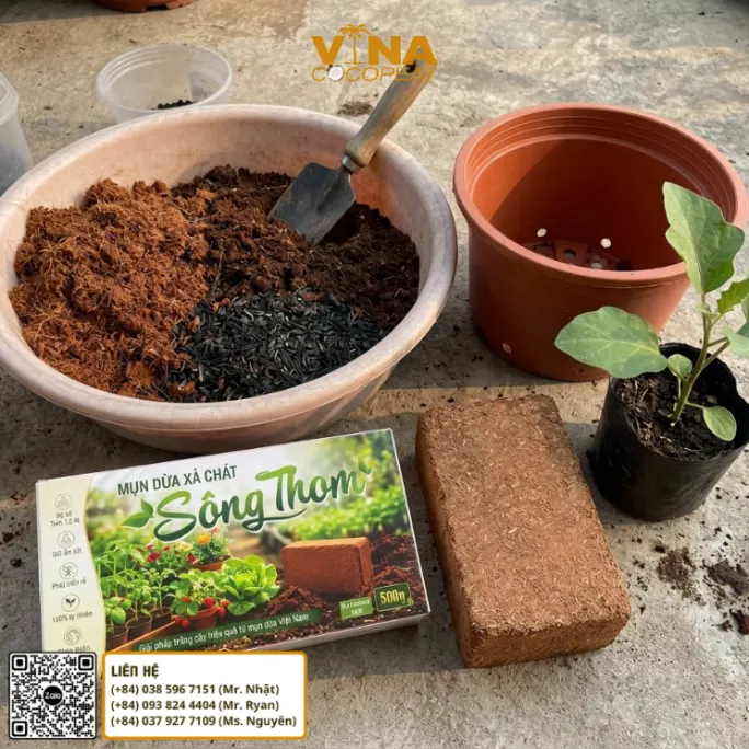 Phối trộn giá thể trồng cà tím với mụn dừa xả chát Sông Thom