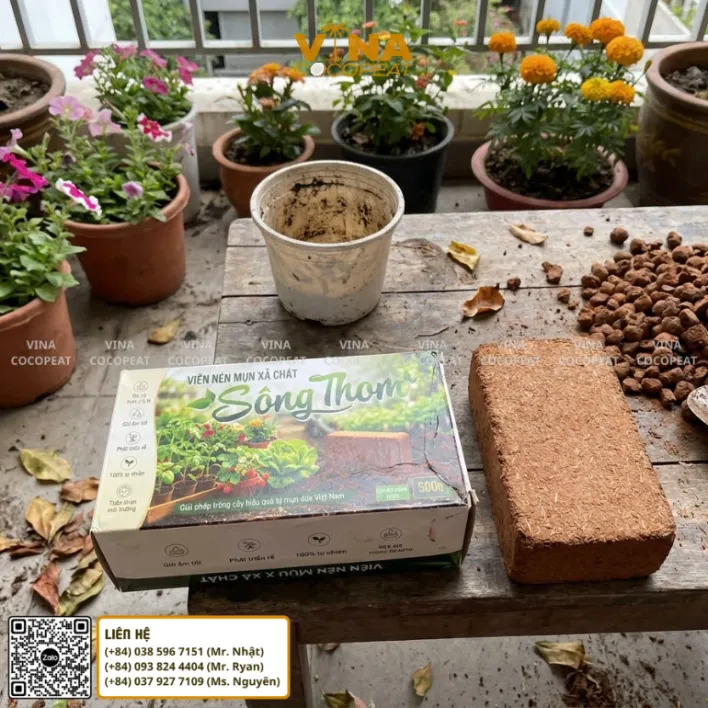 Phối trộn mụn dừa xả chát Sông Thom với trấu hun và giá thể trồng cây