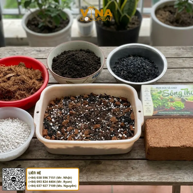 Cách phối trộn mụn dừa Sông Thom với đất sạch trấu hun Perlite làm giá thể trồng cây
