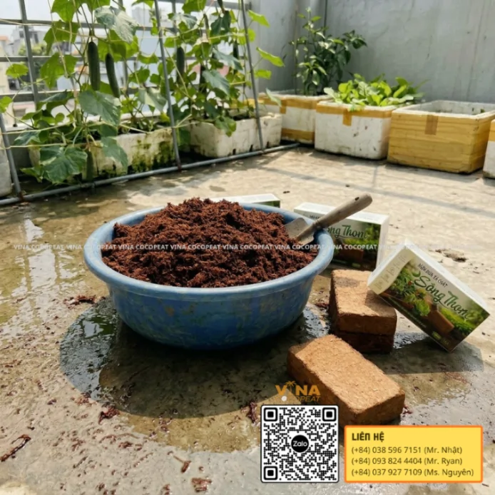 Mụn dừa xả chát Sông Thom 500g ngâm nở thành giá thể tơi xốp để trồng dưa leo tại nhà