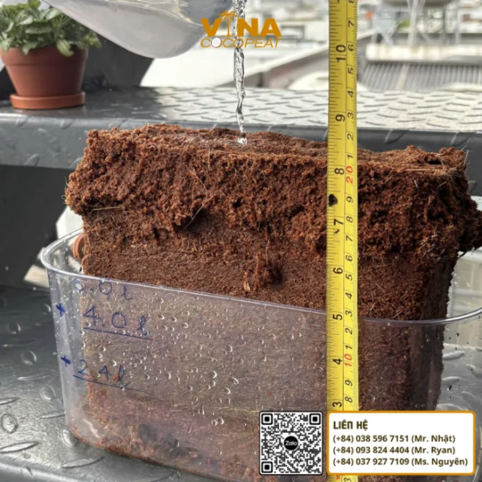 Viên nén mụn dừa sau khi cấp nước bung nở thành giá thể tơi phục vụ trồng cây và gieo ươm