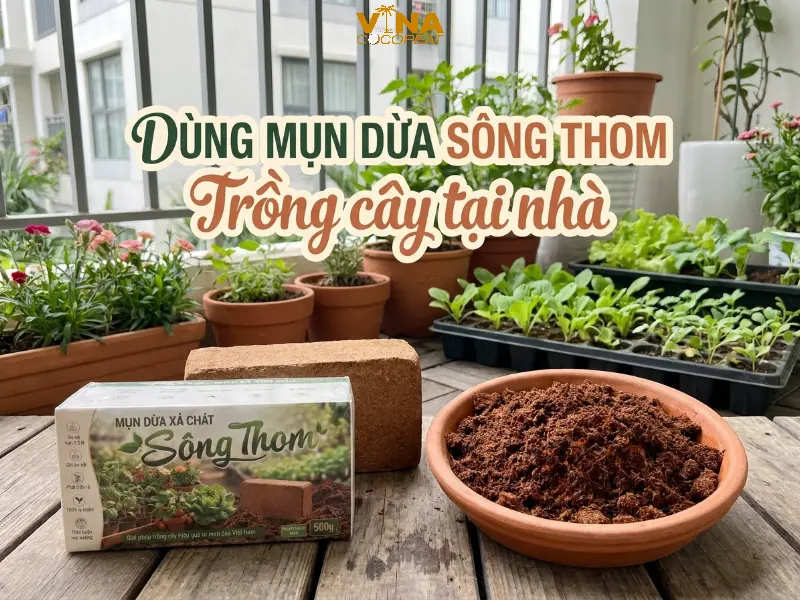 Dùng mụn dừa Sông Thom trồng cây tại nhà với viên nén mụn dừa xả chát 500g