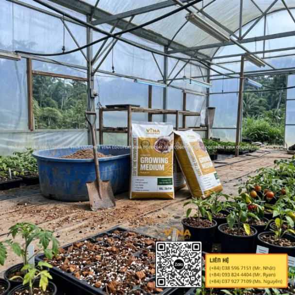Bao giá thể mụn dừa VINA COCOPEAT sử dụng cho cây giống và rau trồng trong nhà kính