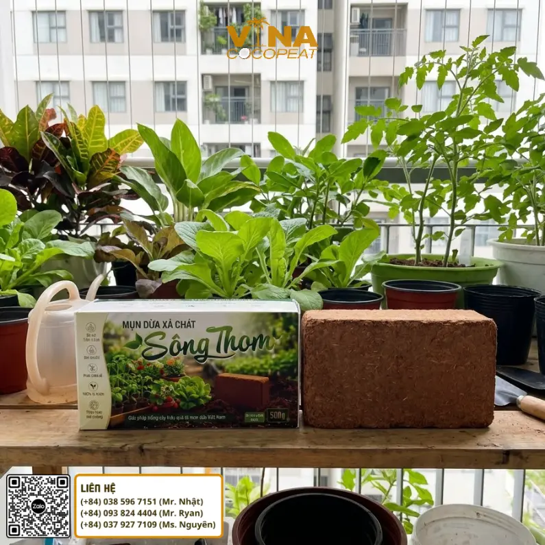 Phối trộn mụn dừa Sông Thom với đất sạch và vật liệu trồng cây làm giá thể tại nhà