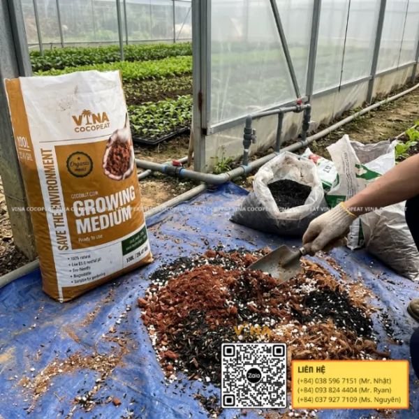 Phối trộn mụn dừa với trấu hun và Perlite giúp tăng độ tơi xốp cho giá thể trồng rau
