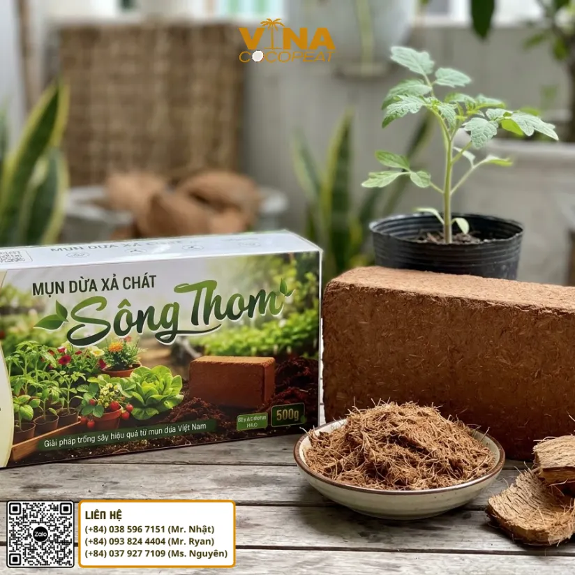 Mụn dừa xả chát Sông Thom 500g khác mụn dừa thô nhờ đã qua xử lý trước khi sử dụng