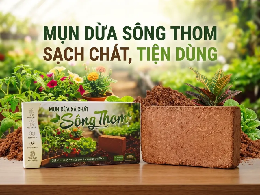 Mụn dừa Sông Thom qua xử lý dạng viên nén 500g sạch chát nhỏ gọn và tiện dùng