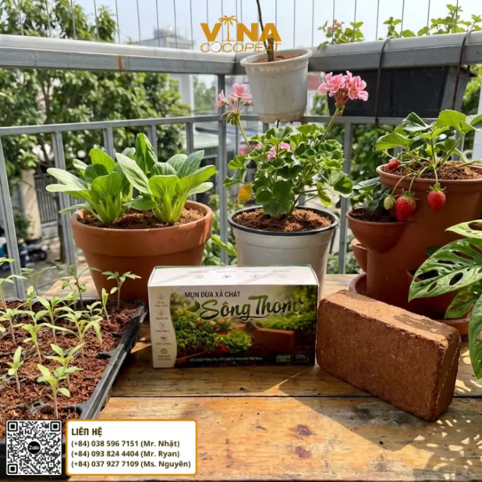 Hướng dẫn làm nở viên nén mụn dừa Sông Thom 500g trước khi sử dụng làm giá thể trồng cây