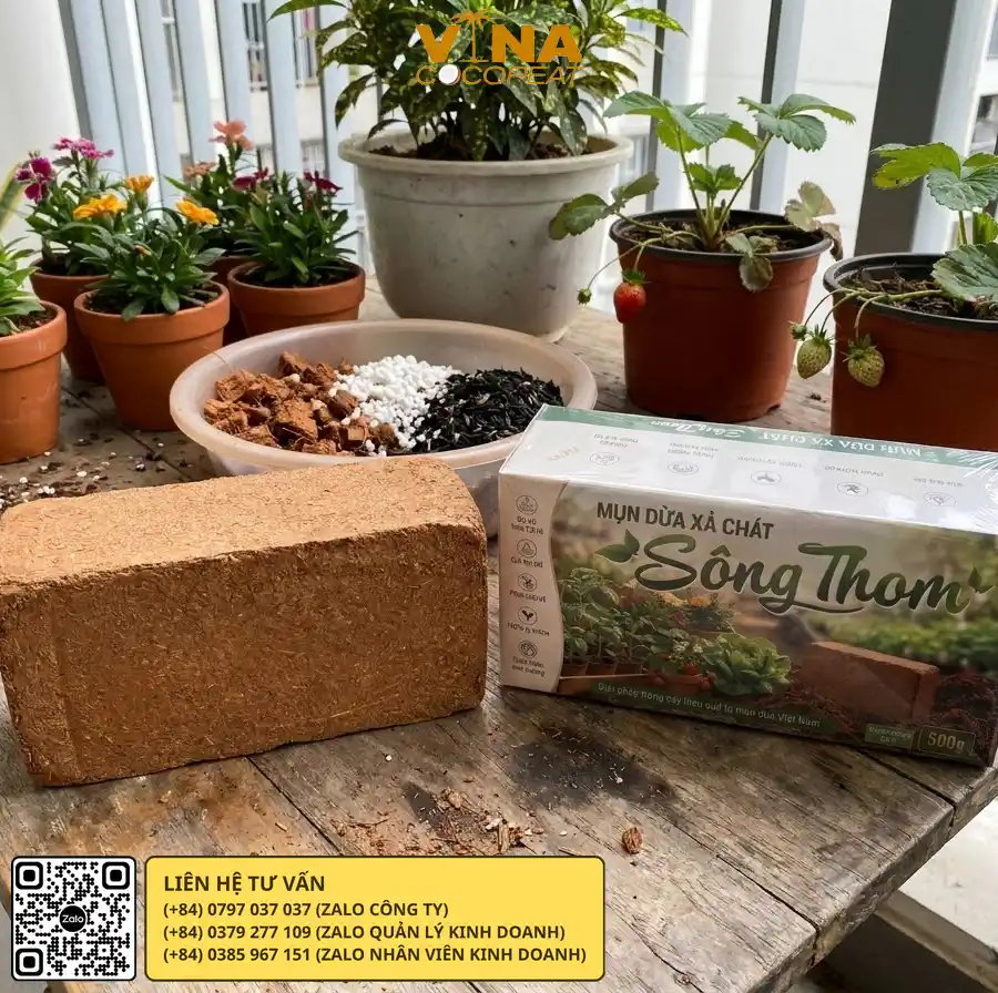 Mụn dừa Sông Thom phối trộn giá thể cho hoa cây cảnh và dâu tây trồng chậu