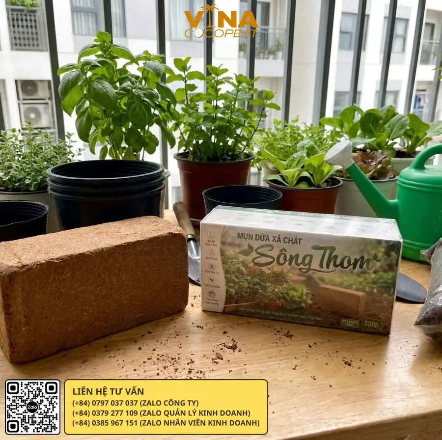 Mụn dừa Sông Thom dùng gieo hạt và ươm cây con trong khay ươm
