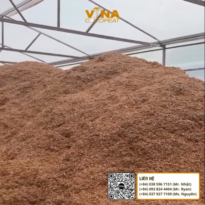 Mụn dừa số lượng lớn tại khu vực sản xuất phục vụ nhà vườn vườn ươm và đơn vị phối trộn giá thể