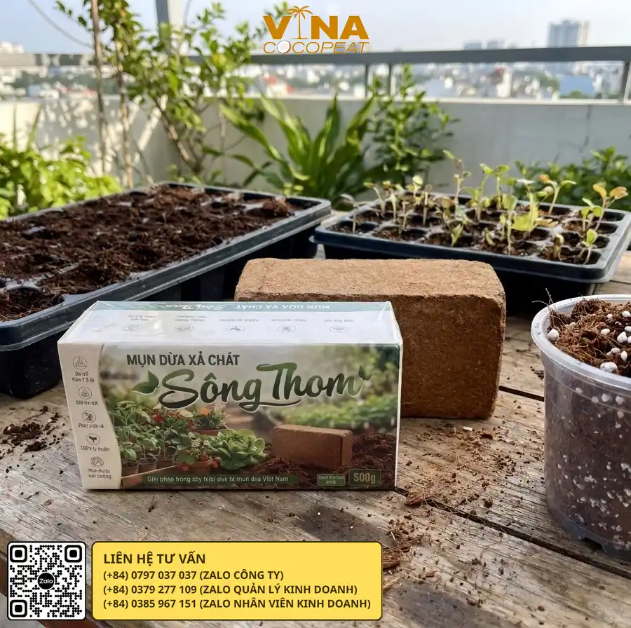 Viên nén mụn dừa Sông Thom 500g ứng dụng trồng cây tại nhà