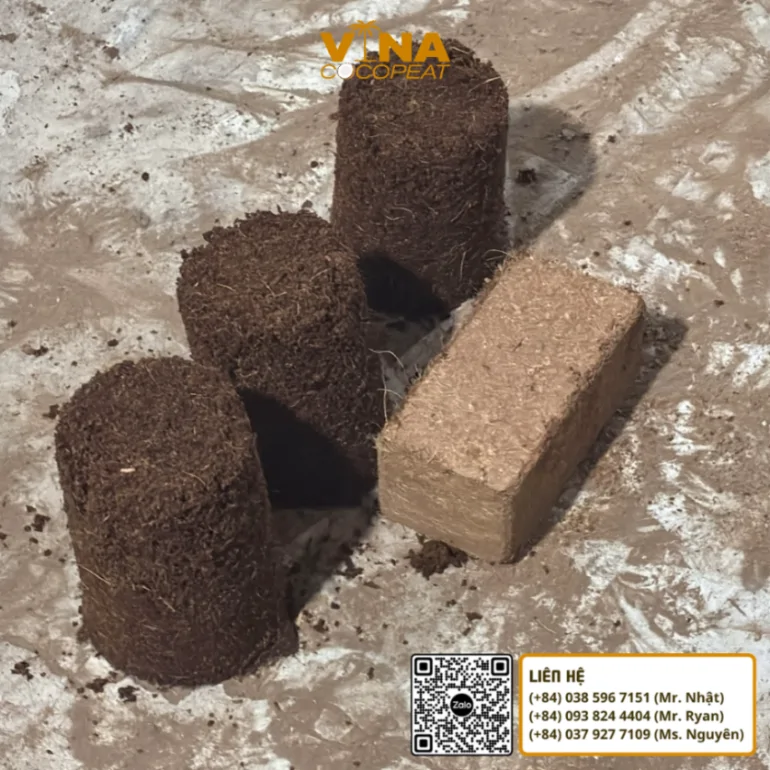 Kiểm tra EC mụn dừa đã xử lý để kiểm soát lượng muối hòa tan trước khi làm giá thể