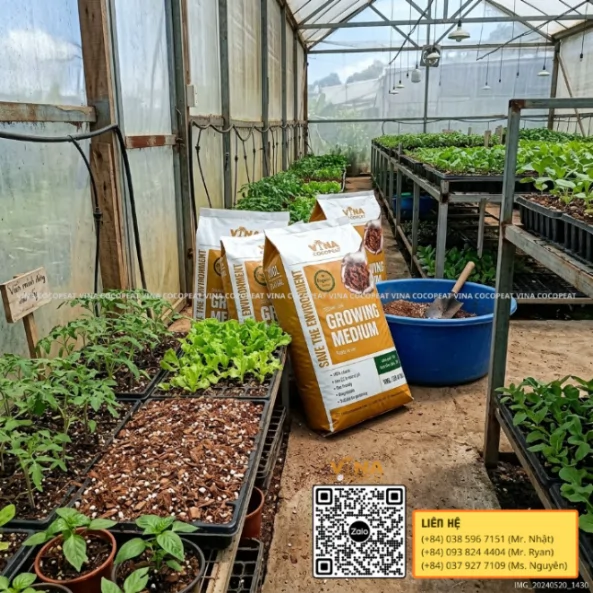 Mụn dừa đã xử lý VINA COCOPEAT dùng làm giá thể Low EC cho cây giống trong nhà kính