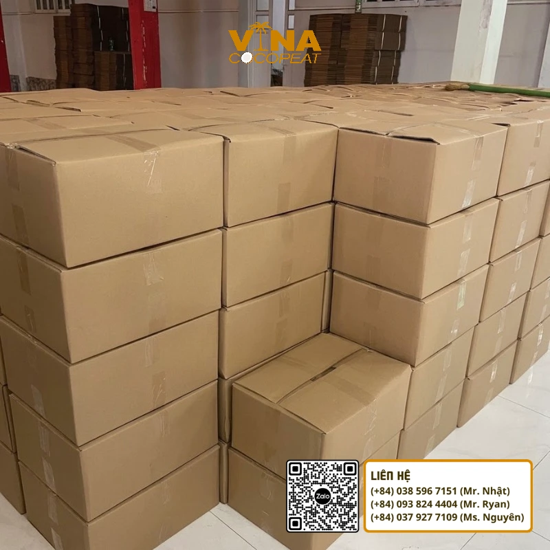 Mụn dừa đóng thùng số lượng lớn giúp đại lý thuận tiện lưu kho vận chuyển và phân phối