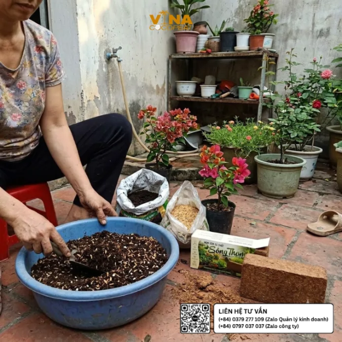 Người làm vườn phối trộn mụn dừa xả chát Sông Thom 500g với phân trùn quế và trấu hun để chuẩn bị giá thể cho hoa giấy tại nhà