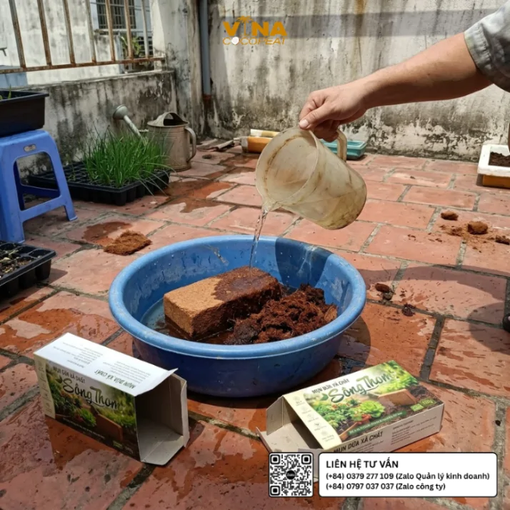 Rót nước làm nở viên nén mụn dừa xả chát Sông Thom 500g trong thau nhựa xanh để chuẩn bị giá thể trồng hẹ