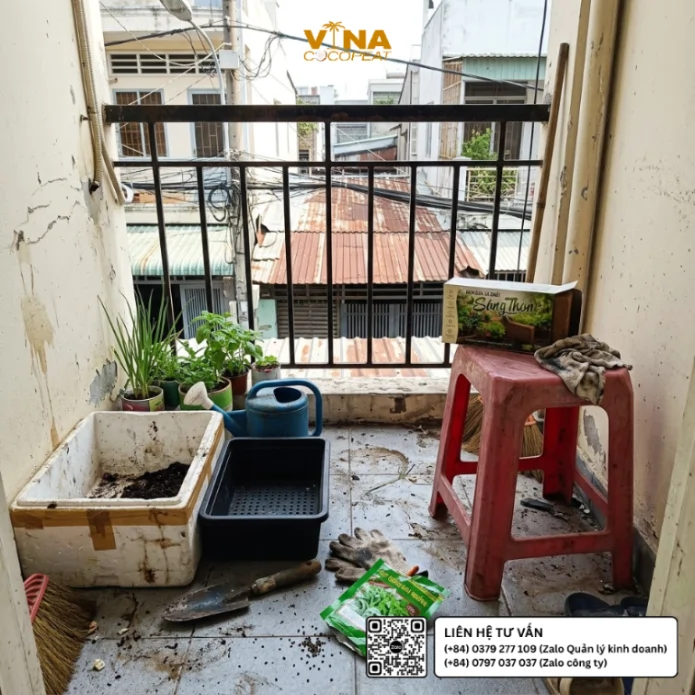 Chuẩn bị thùng xốp và khay trồng rau muống trên ban công nhà phố với viên nén mụn dừa xả chát Sông Thom 500g