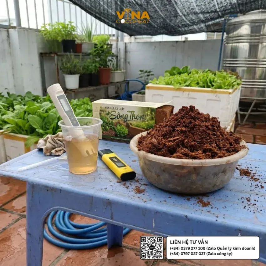 Mụn dừa xả chát Sông Thom 500g đã làm nở và đánh tơi, chuẩn bị làm giá thể giữ ẩm cho rau và cây cảnh trên sân thượng