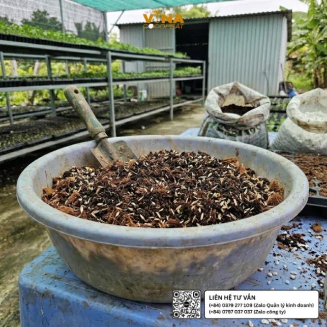 Hỗn hợp mụn dừa xả chát Sông Thom phối trộn với perlite, trấu hun và phân trùn quế để chuẩn bị giá thể ươm cây giống tại Bến Tre