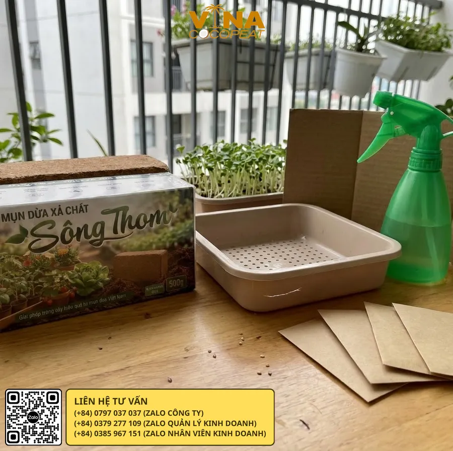 Mụn dừa Sông Thom và dụng cụ chuẩn bị để trồng rau mầm tại nhà