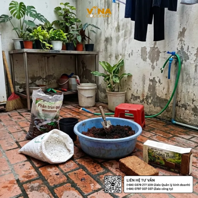 Chuẩn bị mụn dừa xả chát Sông Thom 500g cùng phân trùn quế và perlite để làm giá thể trồng cây cảnh tại nhà