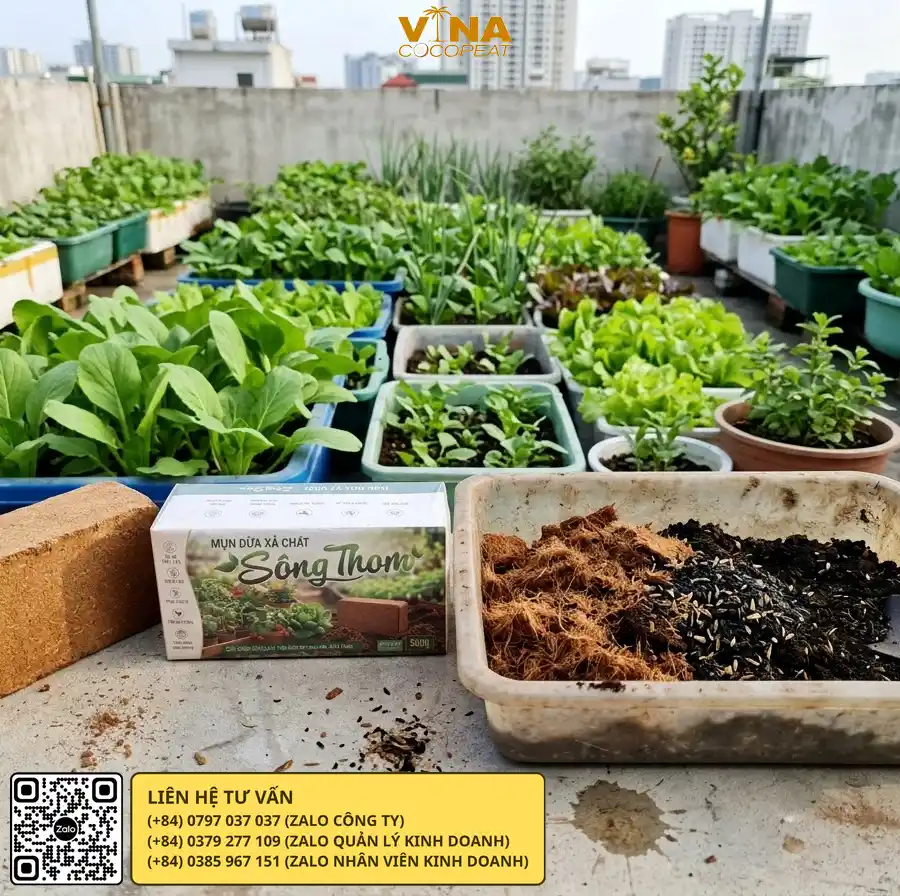 Mụn dừa Sông Thom 500g dùng làm giá thể gieo hạt và ươm cây con