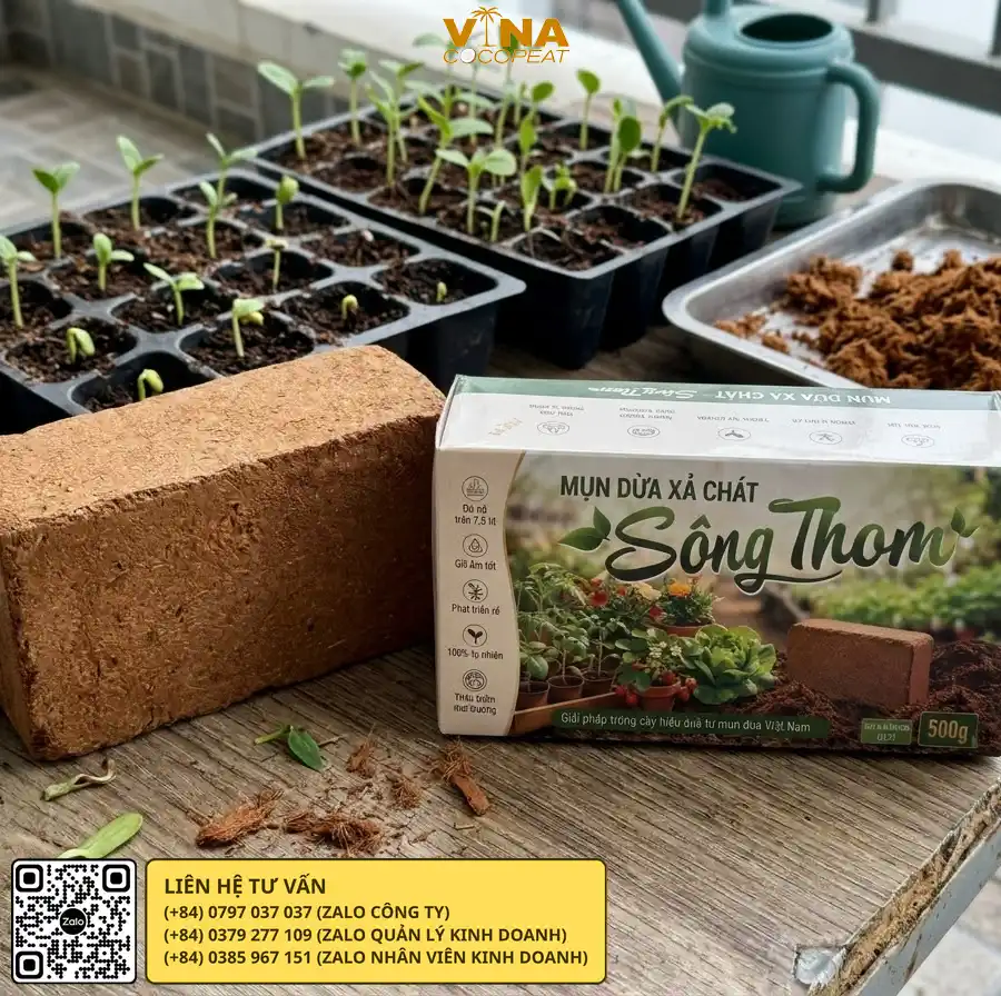 Mụn dừa xả chát gieo hạt giúp duy trì độ ẩm và độ thoáng cho rễ cây con