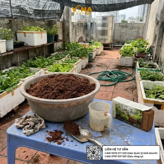 Thau mụn dừa xả chát Sông Thom đã bung nở thành giá thể tơi xốp, đặt cạnh viên nén 500g và dụng cụ làm vườn