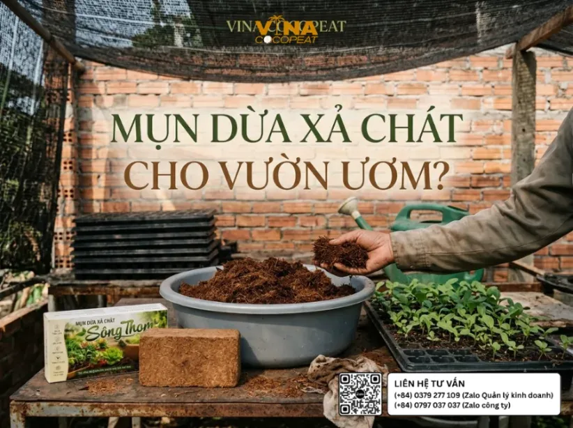 Mụn dừa xả chát Sông Thom 500g cho vườn ươm với viên nén, mụn dừa đã làm tơi và khay cây giống tại nhà vườn Việt Nam