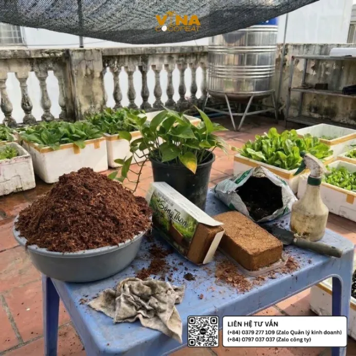 Mụn dừa Sông Thom 500g chuẩn bị phối trộn với phân hữu cơ và vật liệu tạo thoáng để làm giá thể trồng rau, cây cảnh trong chậu