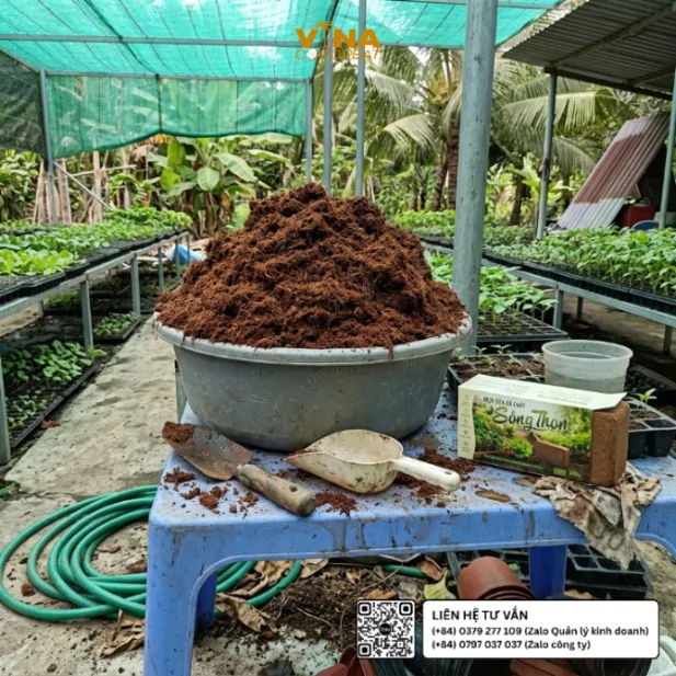 Thau mụn dừa xả chát Sông Thom đã làm nở thành giá thể tơi xốp, đặt cạnh viên nén 500g tại vườn ươm Bến Tre