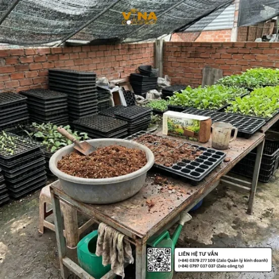 Hướng dẫn làm nở viên nén mụn dừa xả chát Sông Thom 500g bằng nước sạch trong thau nhựa để chuẩn bị giá thể gieo ươm