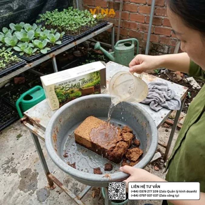 Bảo quản các hộp viên nén mụn dừa xả chát Sông Thom 500g trên kệ vật tư khô ráo tại vườn ươm cây giống